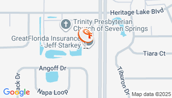 New Port Richey, FL Auto Insurance Agency